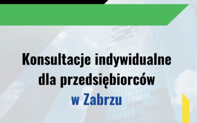 Cykliczne konsultacje w Zabrzu