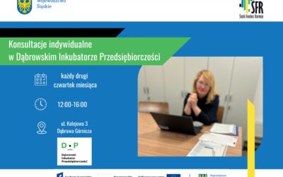 Konsultacje indywidualne w Dąbrowskim Inkubatorze Przedsiębiorczości