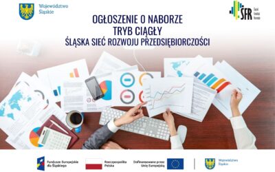 Voucher na usługi doradcze rozwojowe – ogłoszenie naboru w trybie ciągłym