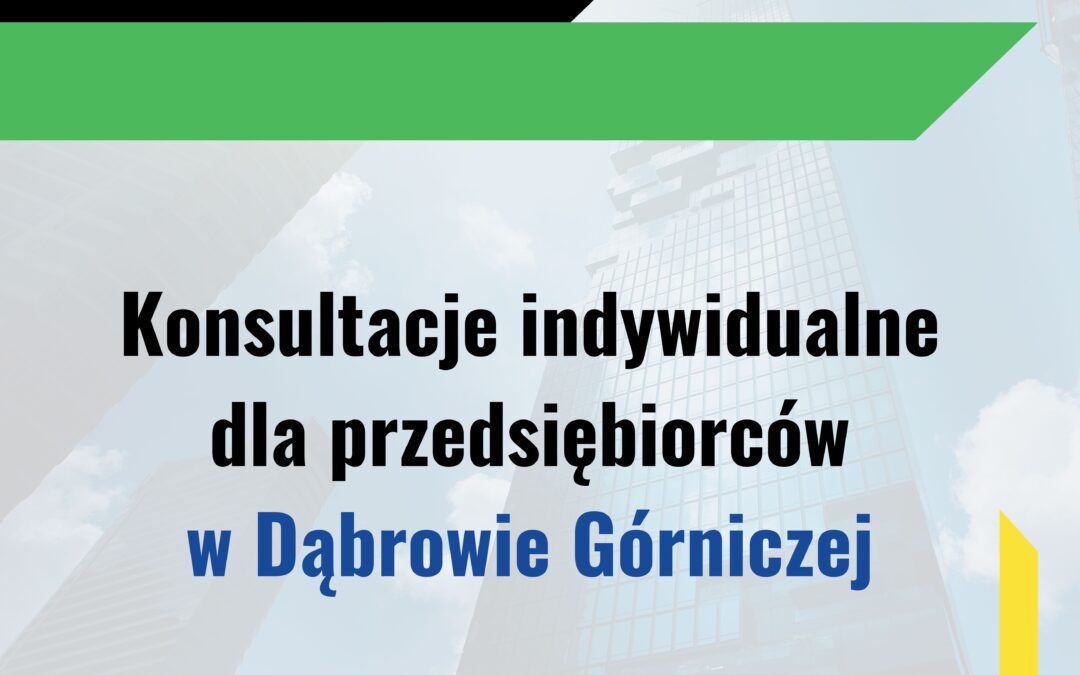 Konsultacje indywidualne – Dąbrowa Górnicza