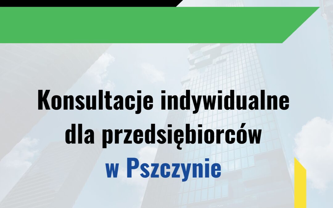 Konsultacje indywidualne w PUP w Pszczynie